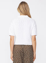 image-41780243366123