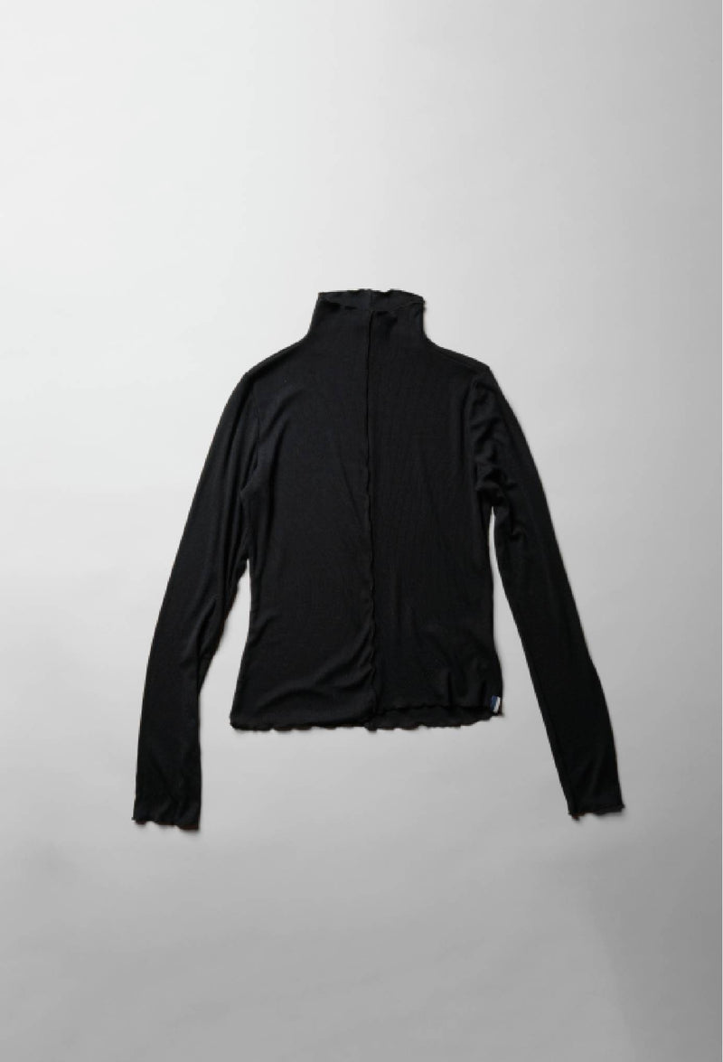 Fine 2X1 Rib Long Sleeve Mock Neck in Black