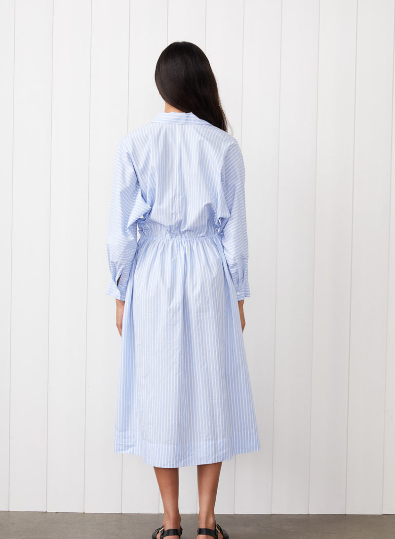 Iberus Stripe Poplin Shirt Dress in Clear Sky Stripe - back view full body