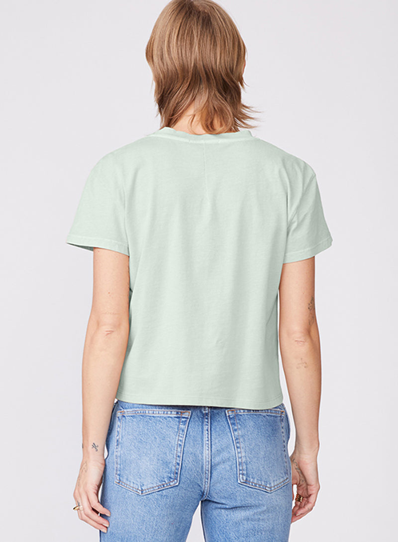 Cloud Jersey Short Sleeve Crew in Cactus