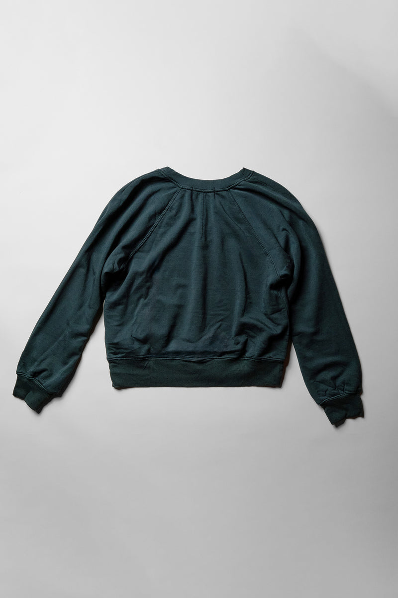 Softest Fleece Raglan V-Neck Pullover in Everfall